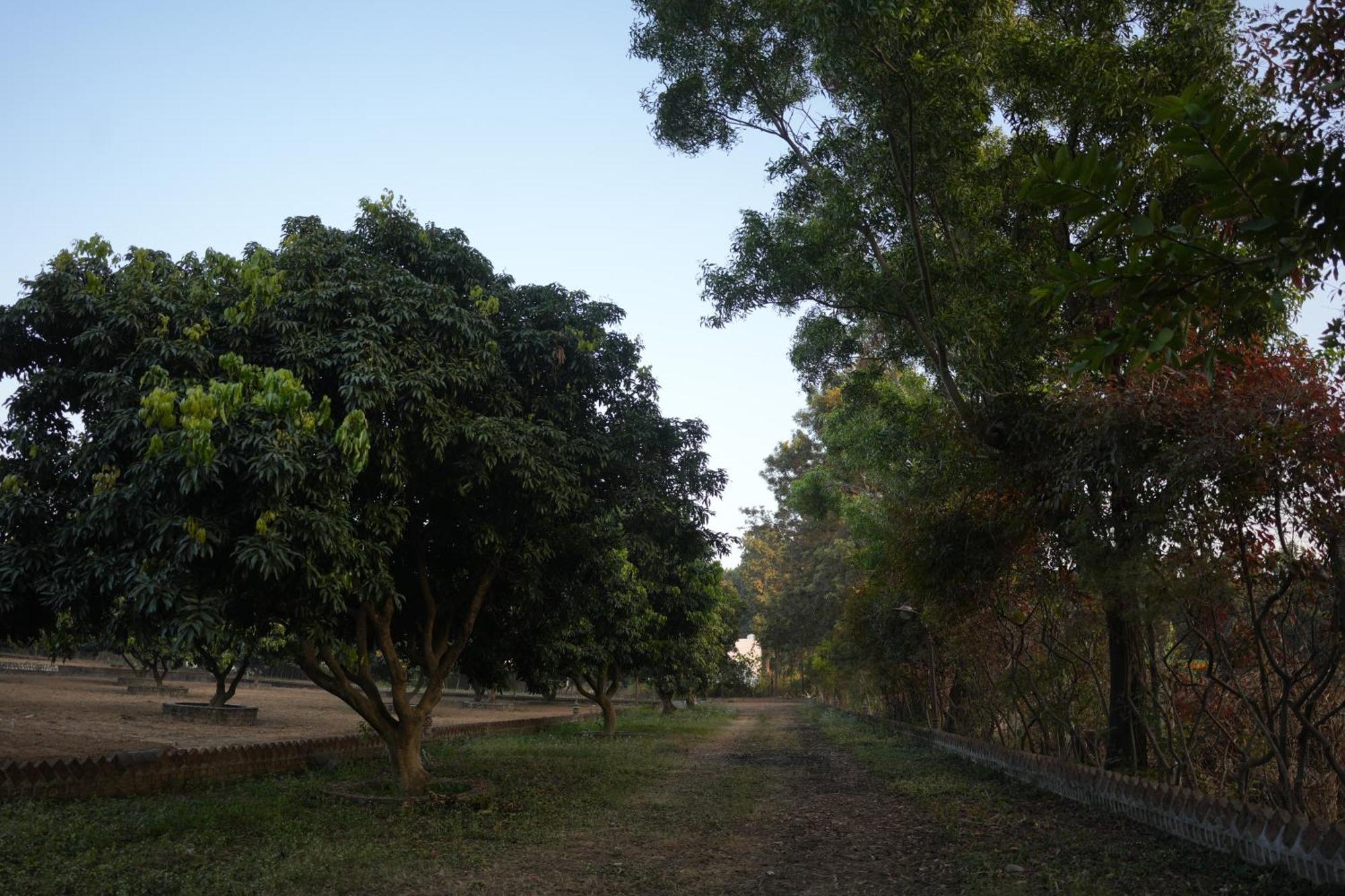3Acres Resorts Dehradun Ngoại thất bức ảnh